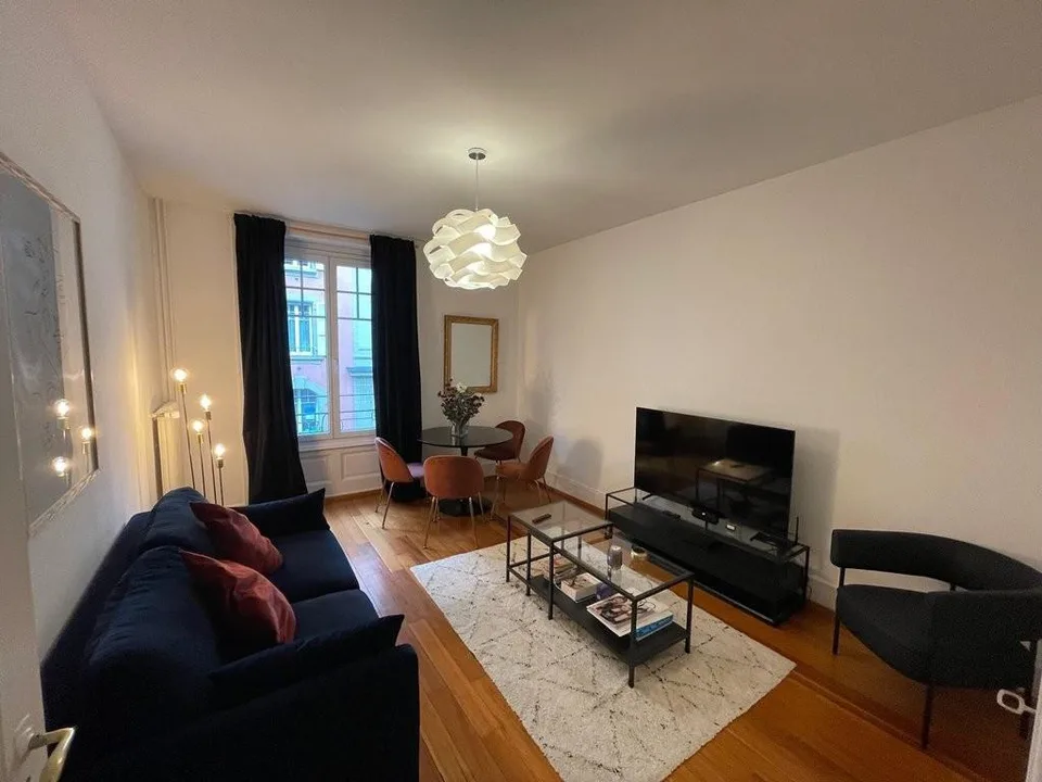 Magnificent apartment in the city center