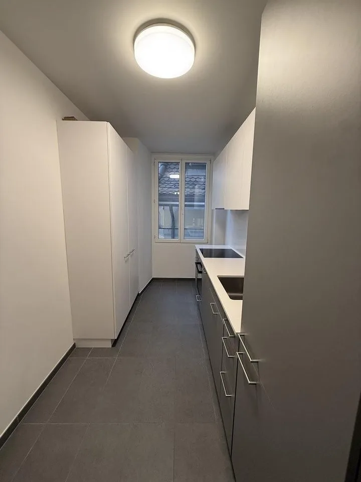 Magnificent apartment in the city center