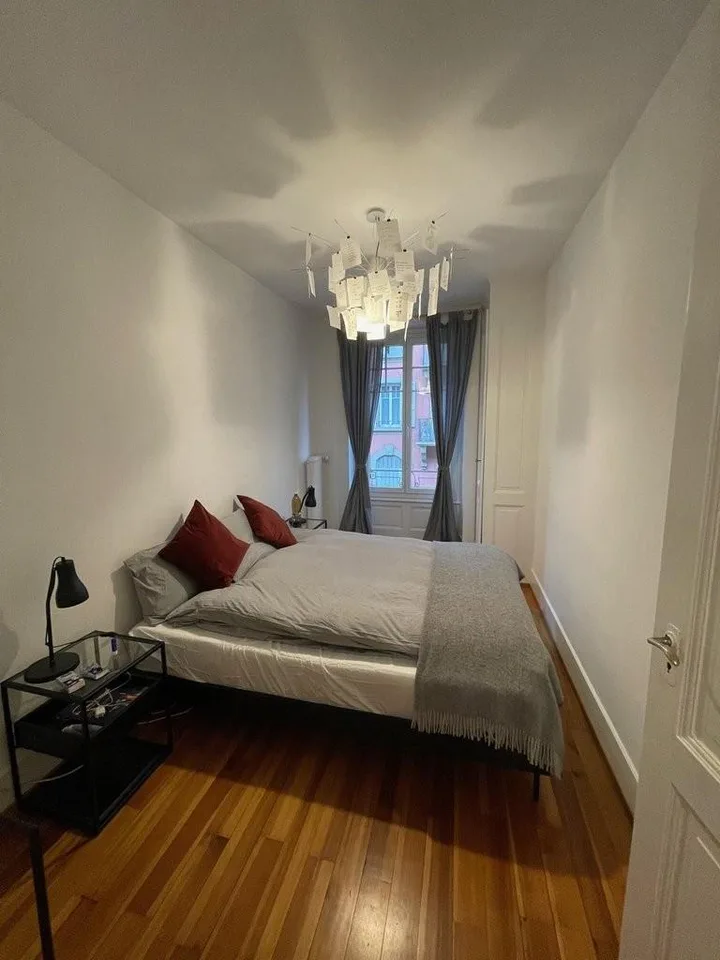 Magnificent apartment in the city center