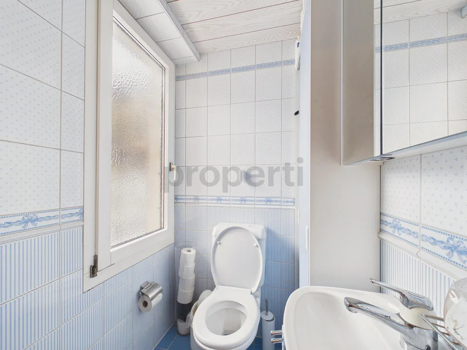 Maison mitoyenne avec deux appartements (3,5 pièces + 5,5 pièces) avec vue sur les montagnes à Piotta – photo 13 sur 15