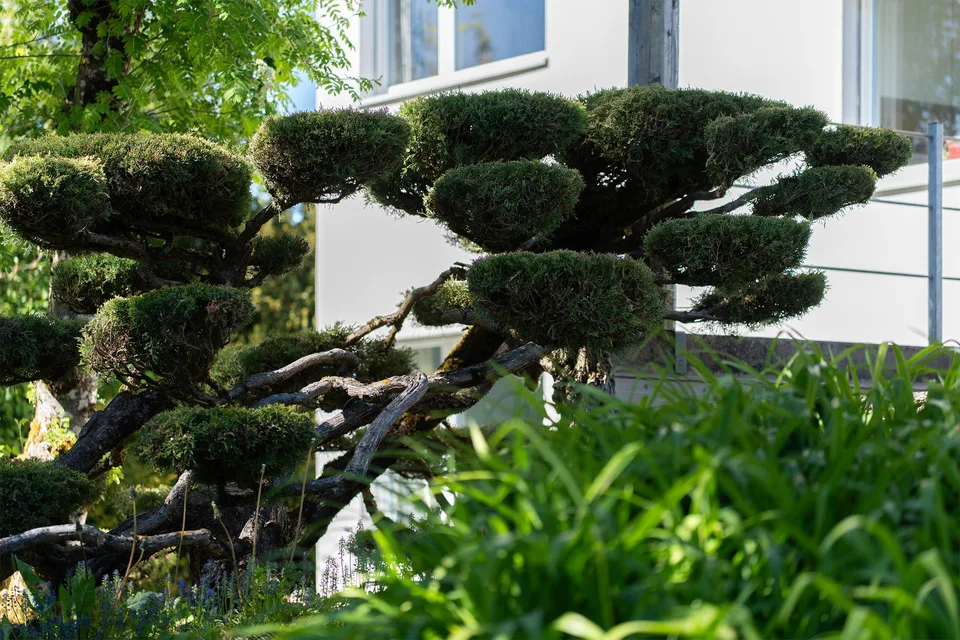 Hoch über dem Bielersee - Stilvolles Haus in Parkähnlichem Garten – photo 15 sur 19