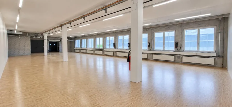 Ganzes Stockwerk zu vermieten - 1'060 m² Gewerbefläche – foto 8 di 10