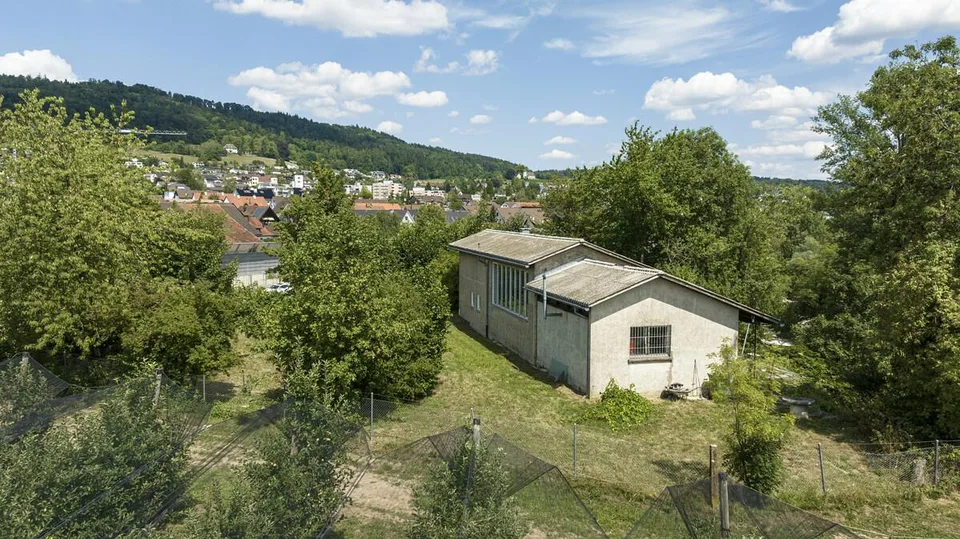 Unterengstringen: denkmalgeschütztes Wohn- und Atelierhaus im Grünen – Foto 2 von 6