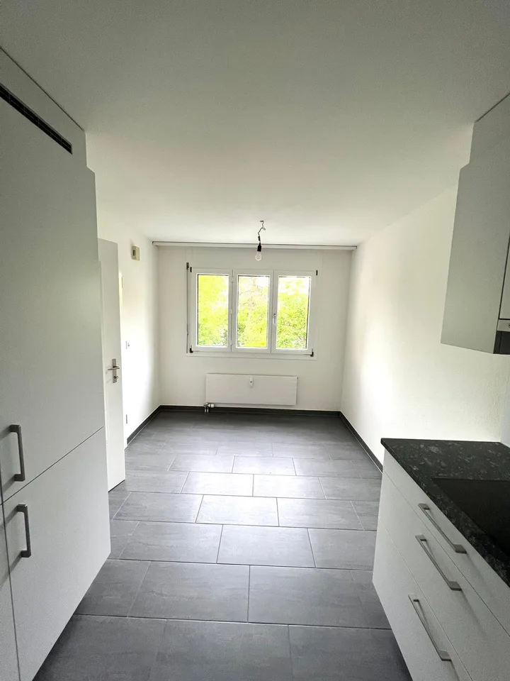 4.5 Zimmerwohnung Nähe Gartenbad Aesch – Foto 3 von 12