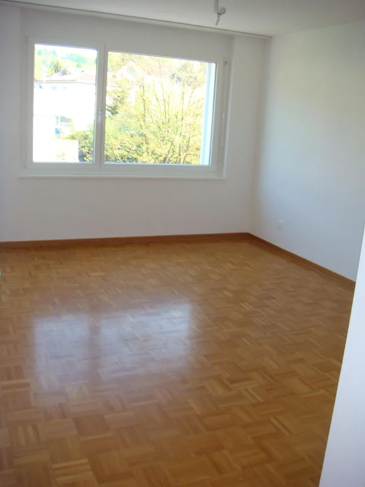 4.5 Zimmerwohnung in Neuhausen am Rheinfall