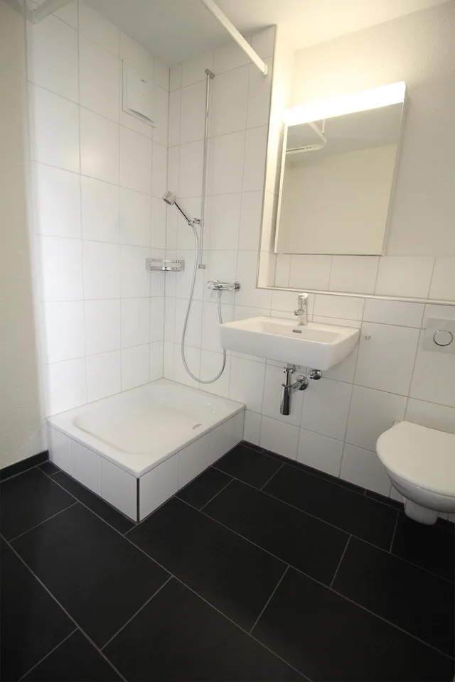 4.5 Zimmerwohnung in Neuhausen am Rheinfall