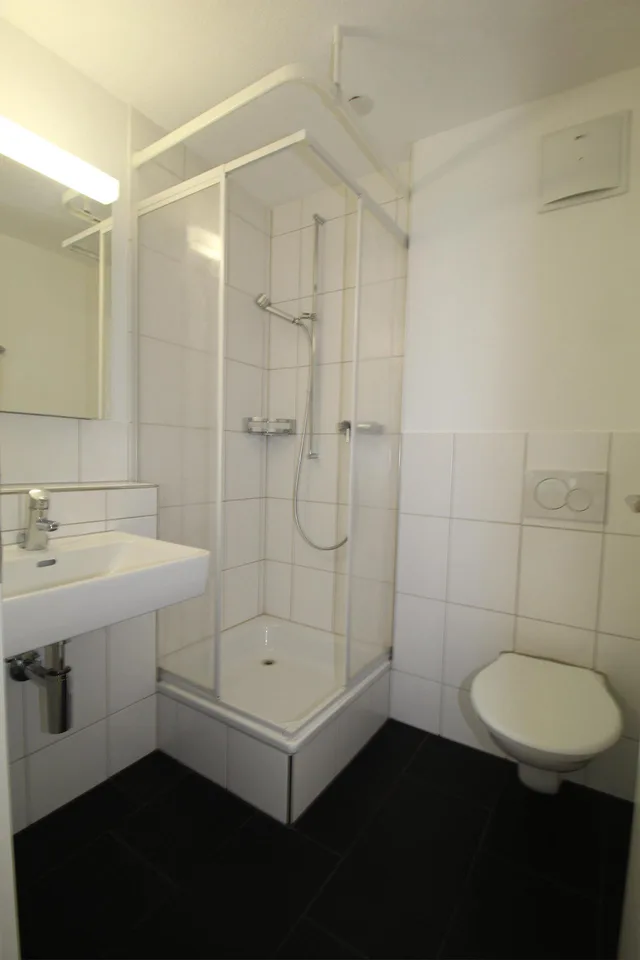 5.5 Zimmerwohnung in Neuhausen am Rheinfall