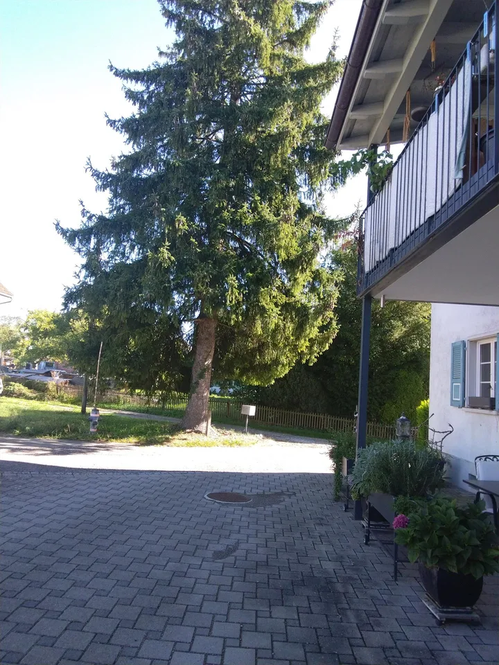 Neues Zuhause auf dem Land... klein aber fein