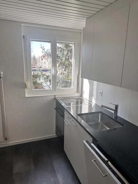 3.5 Zimmer-Dachwohnung 2.OG