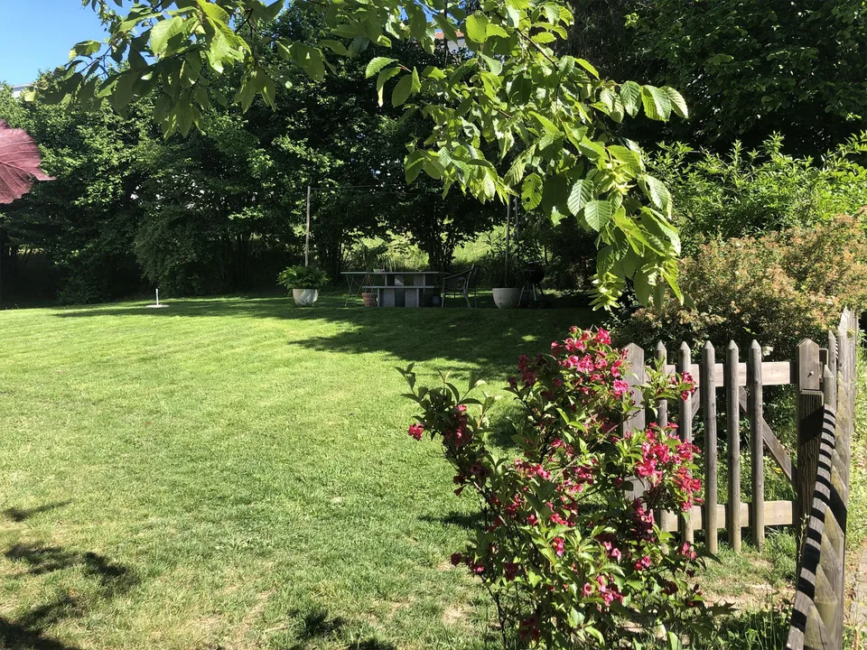 charmante 2.5-Zimmerdachwohnung nähe Rosengartens – photo 10 sur 13