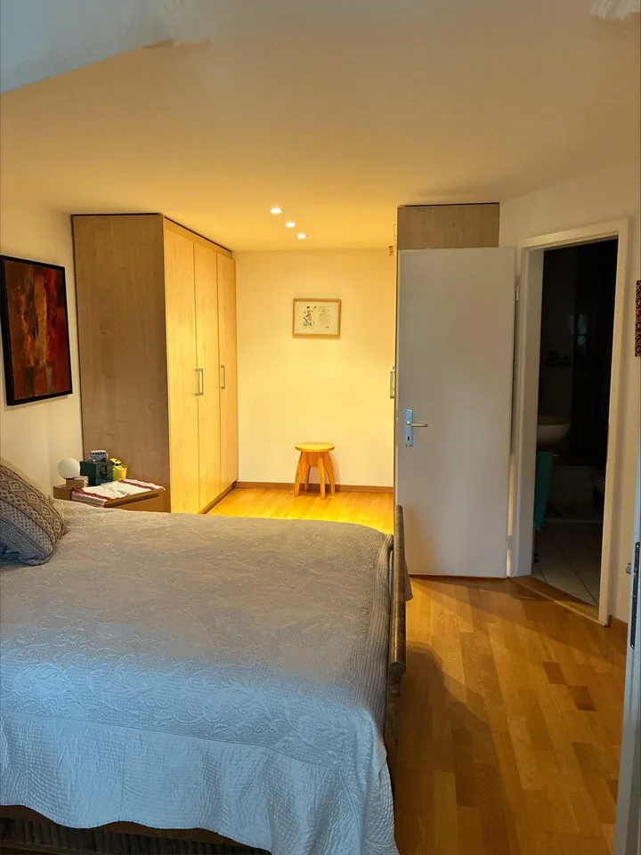 Appartamento mansardato con 4 locali a Plainpalais – foto 8 di 8