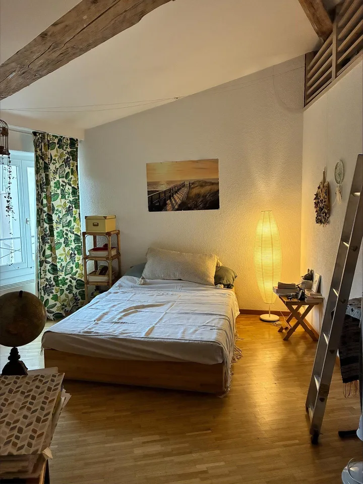 Appartamento mansardato con 4 locali a Plainpalais – foto 7 di 8