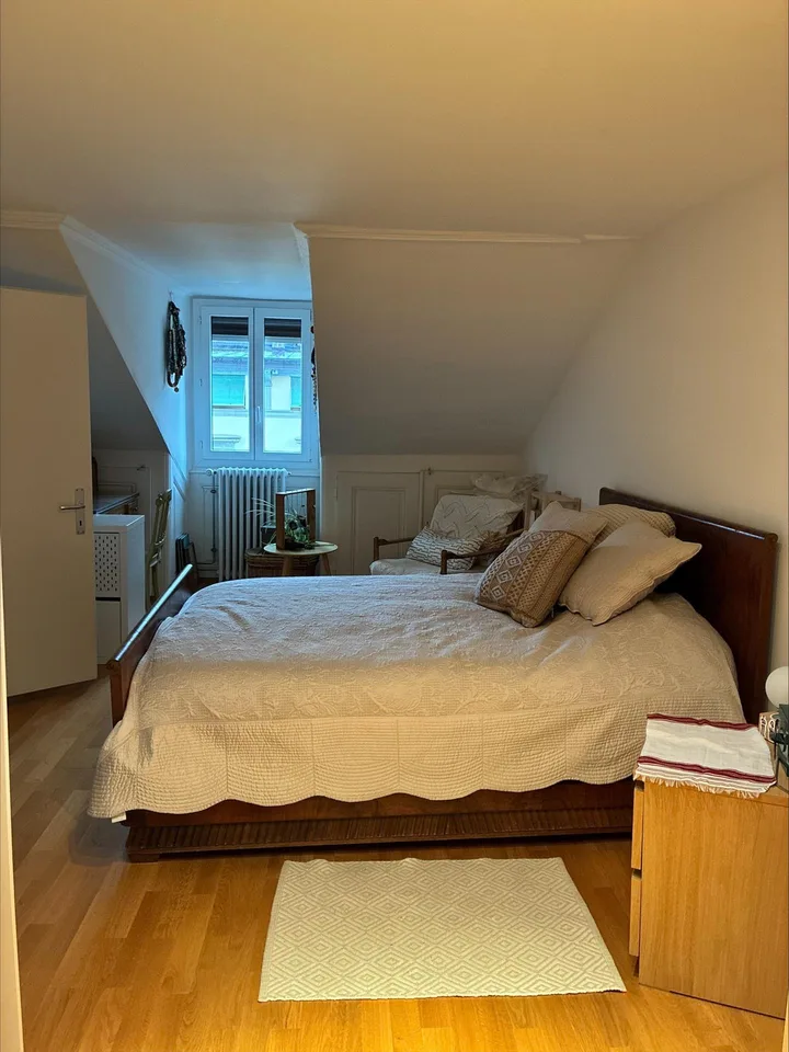 Appartamento mansardato con 4 locali a Plainpalais – foto 6 di 8