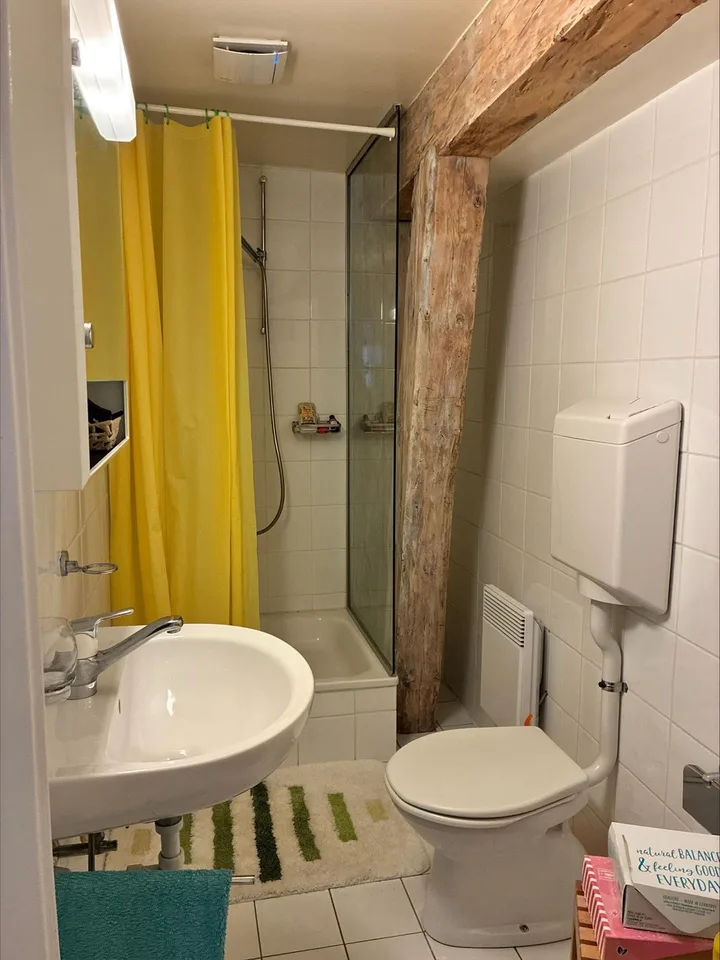 Appartamento mansardato con 4 locali a Plainpalais – foto 5 di 8