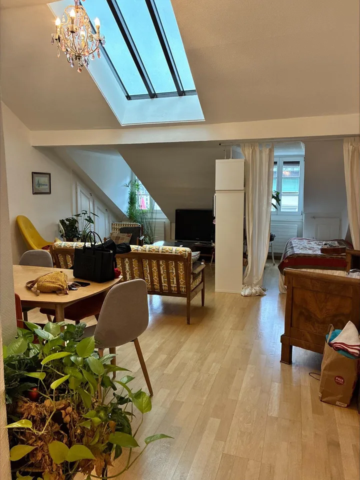Appartamento mansardato con 4 locali a Plainpalais – foto 2 di 8