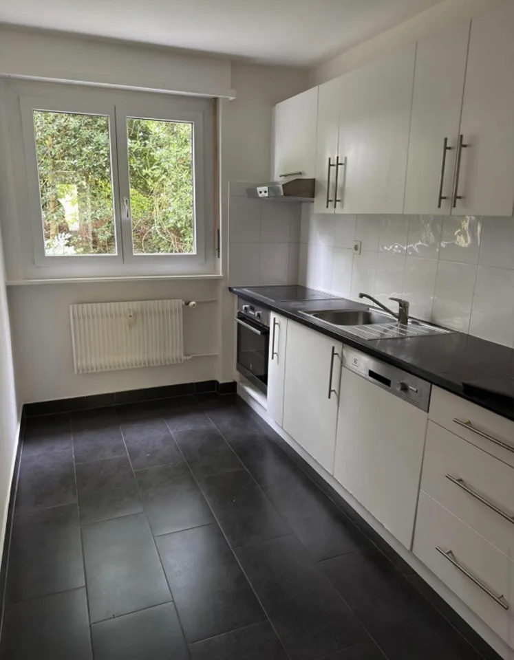 Frisch renovierte 4-Zimmer-Eckwohnung im Hochparterre – photo 7 of 8