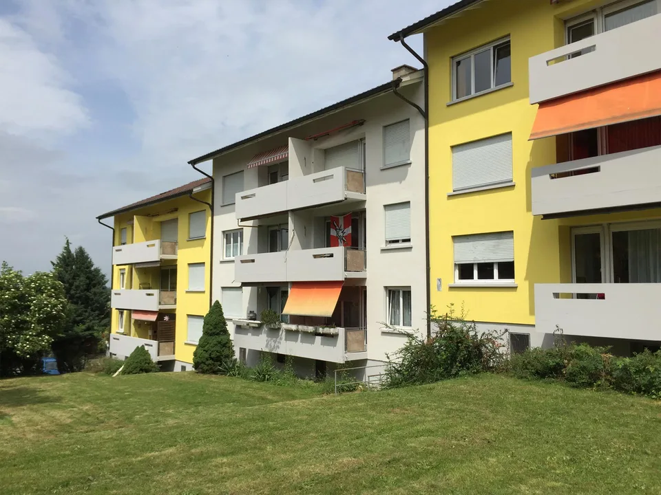 Frisch renovierte 4-Zimmer-Eckwohnung im Hochparterre – photo 2 of 8