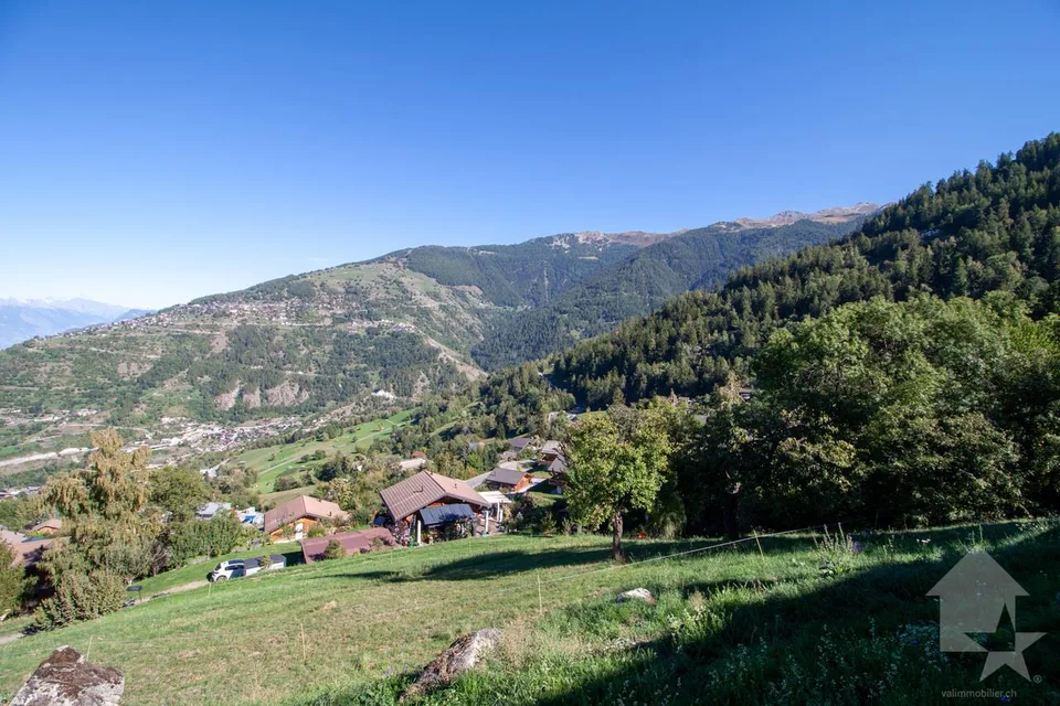 Superbe parcelle de 2'978 m² à bâtir à 5 minutes des pistes – photo 4 sur 5