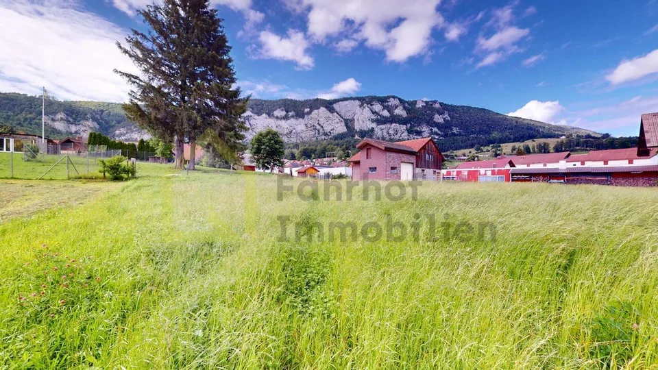 Grundstück mit Stallgebäude + Werkstatt für Hobby- und Nutztierhaltung – Foto 4 von 14