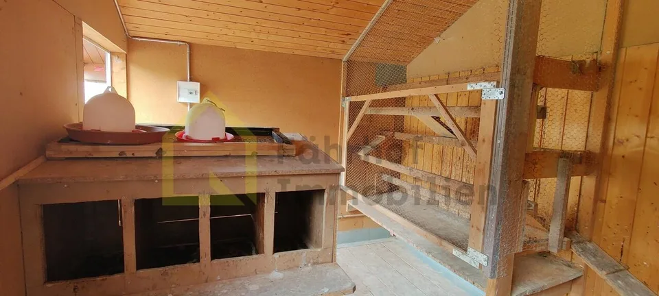 Grundstück mit Stallgebäude + Werkstatt für Hobby- und Nutztierhaltung – Foto 11 von 14