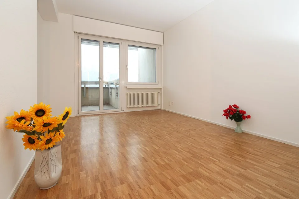 Appartamento di 2 locali a Lugano – foto 2 di 9