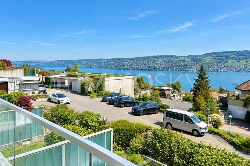 Ihr neues Zuhause mit Panoramasicht von Zürich bis in die Alpen – foto 5 di 5