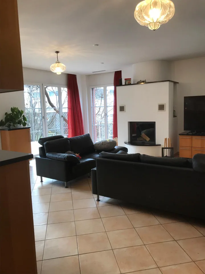 Caslano – VENDUTA Moderna villa con piscina giardino e monolocale indi – photo 7 sur 29