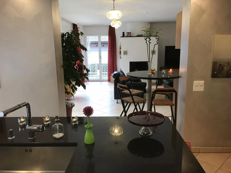Caslano – VENDUTA Moderna villa con piscina giardino e monolocale indi – photo 15 sur 29