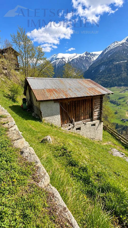 Stall mit Weitblick in Betten: Umbaubewilligung möglich – foto 5 di 5