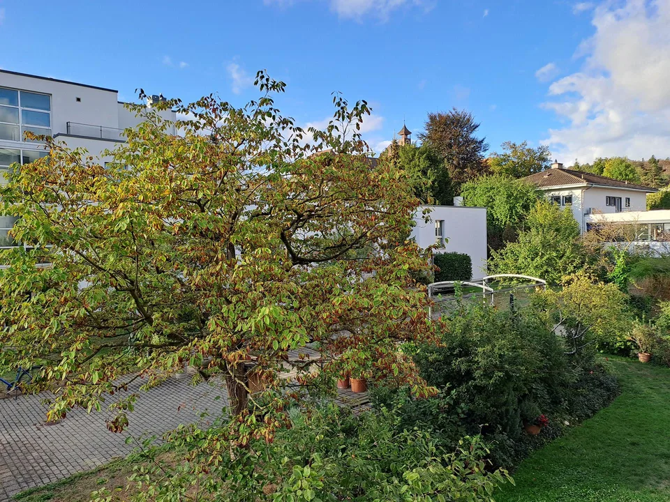 Helle, grosse 3½-Zimmer-Wohnung mit Balkon – Foto 7 von 7