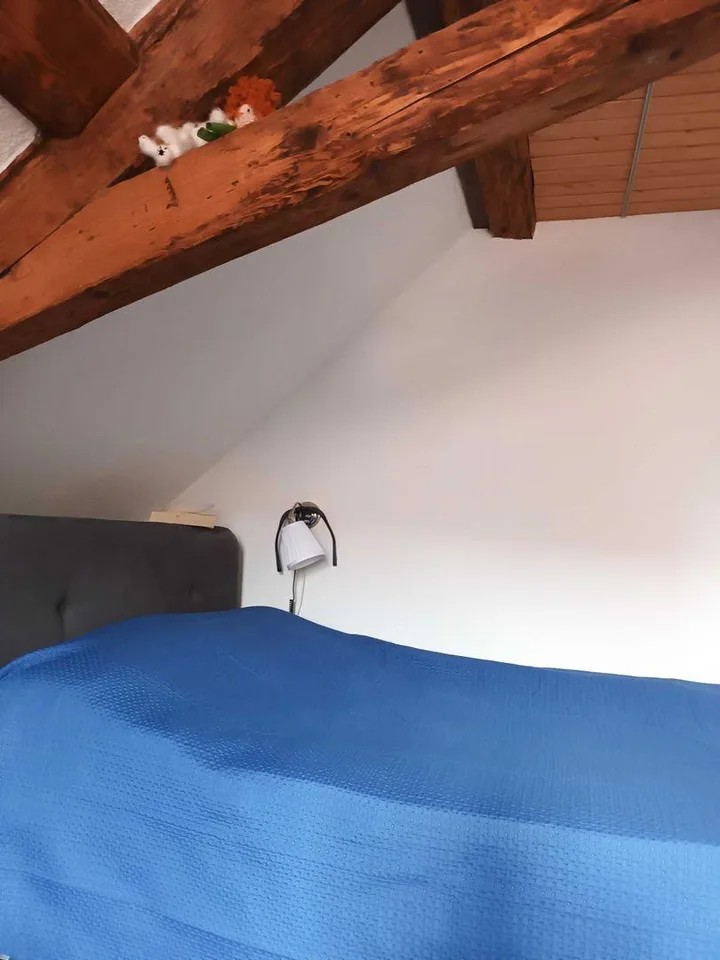 Appartamento 1 camera – foto 4 di 7