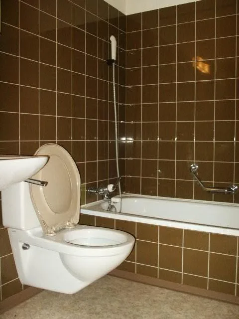 Grosse 3 1/2-Zimmer-Terrassenwohnung – photo 6 sur 7