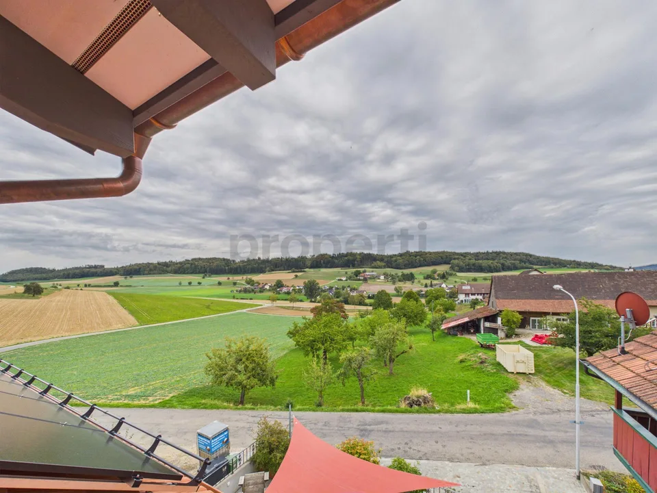 Penthouse apartment with a far-reaching view - Your new home in the heart of Schneisingen – photo 16 of 31