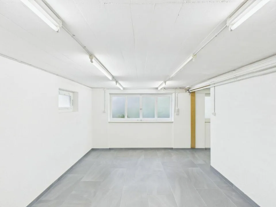 Vivere moderno e utilizzo versatile nel cuore di Frauenfeld – foto 19 di 23