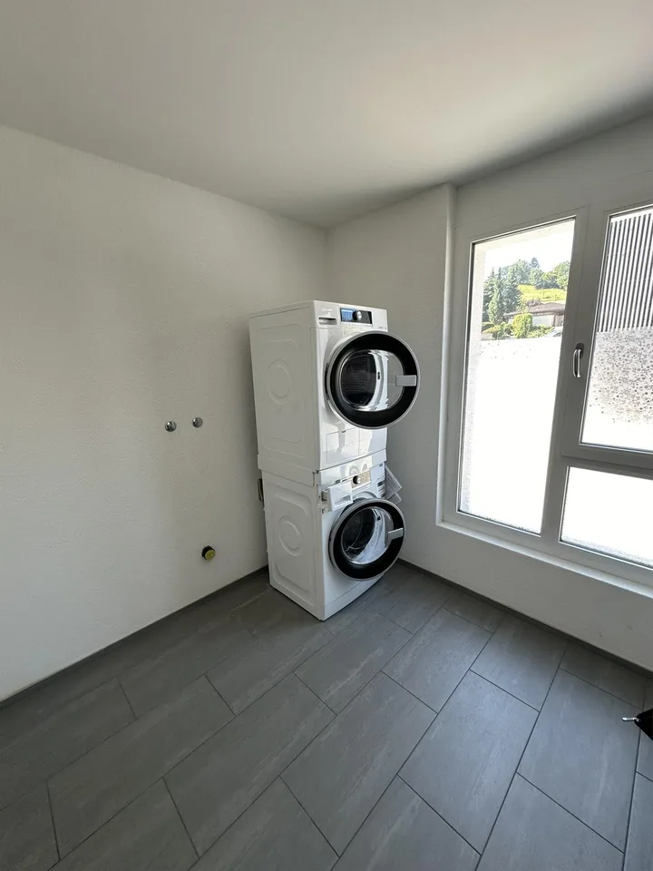 Wohnen im Grünen, neuwertige 5.5 Zimmer-Wohnung – Foto 6 von 10