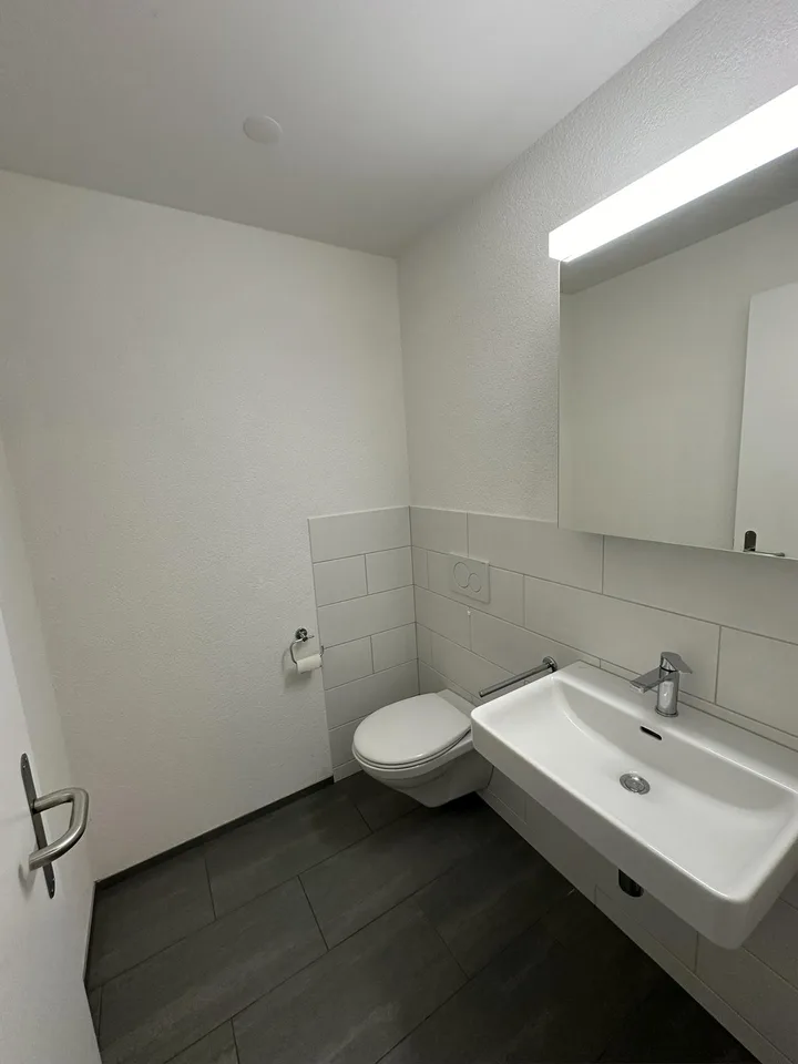 Wohnen im Grünen, neuwertige 5.5 Zimmer-Wohnung – Foto 5 von 10