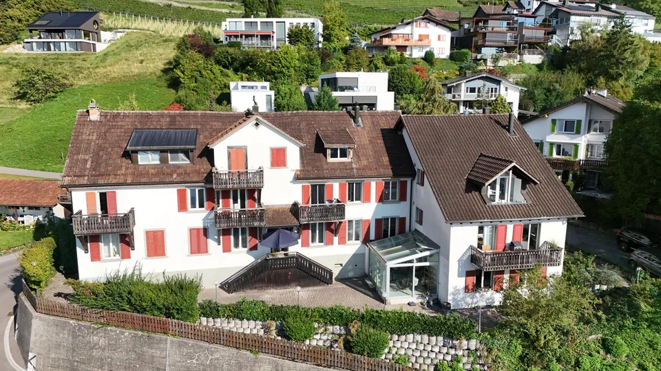 Panorama Blick über das Rheintal- 3.5 Zimmer Wohnung in Au zu verka... – foto 11 di 14