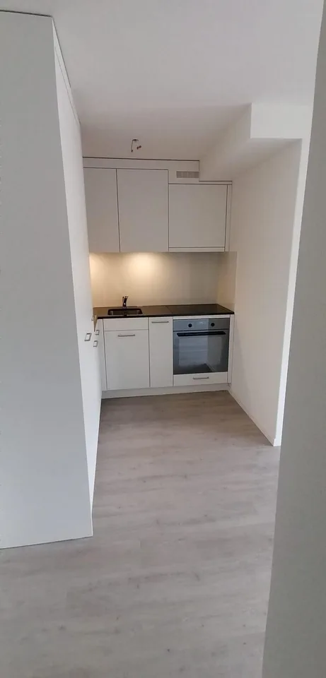 Sanierte 1 Zimmerwohnung an ruhiger Lage nähe Waldrand – Foto 4 von 12