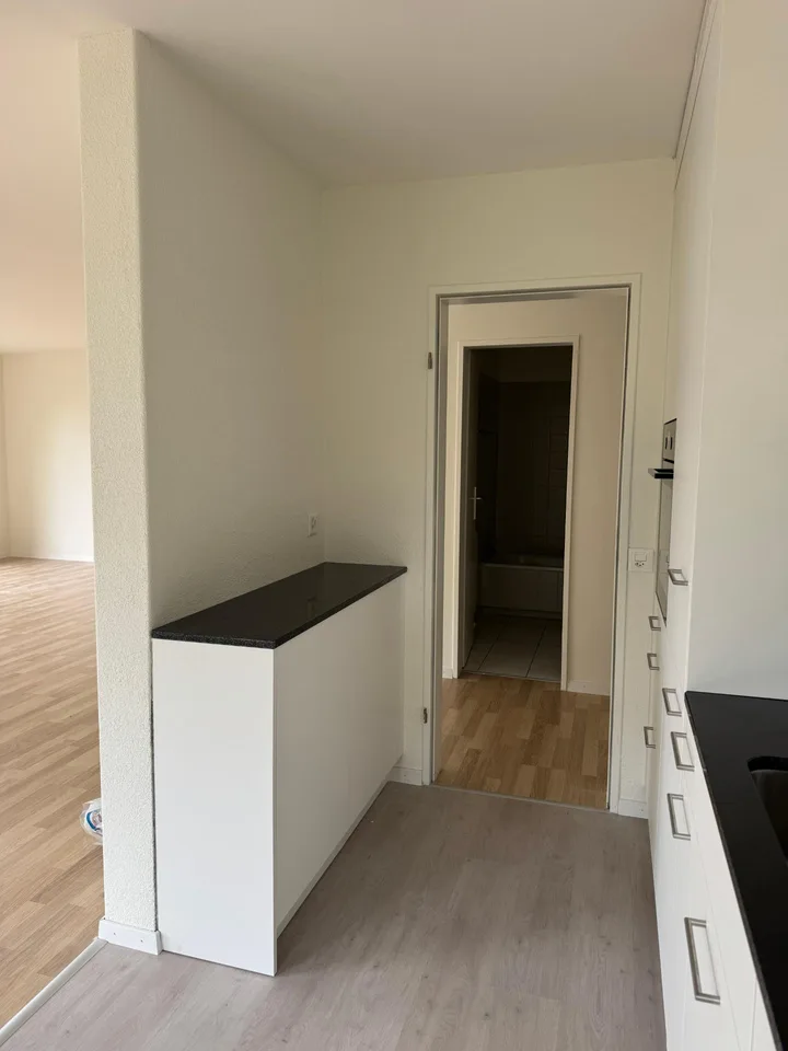 renovierte 2.5 Zimmerwohnung im Grünen – foto 2 di 9