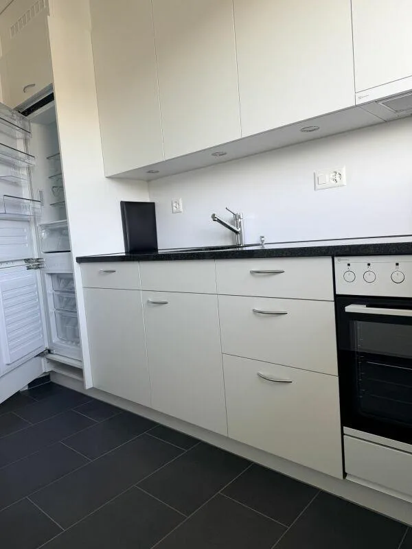Appartamento di 3,5 locali appena ristrutturato a Breitenrain – foto 2 di 12