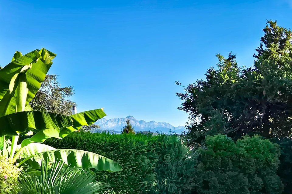 Familienliegenschaft mit wunderschönem Garten – Foto 8 von 23