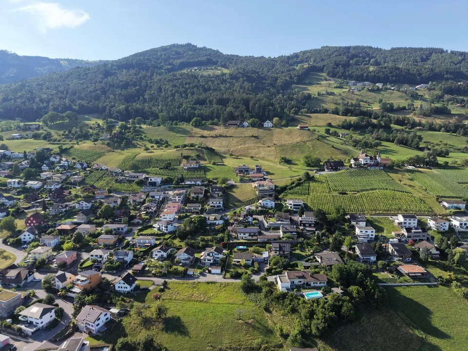 Baulandparzelle am Südhang mit Weitsicht über das Rheintal – foto 8 di 10