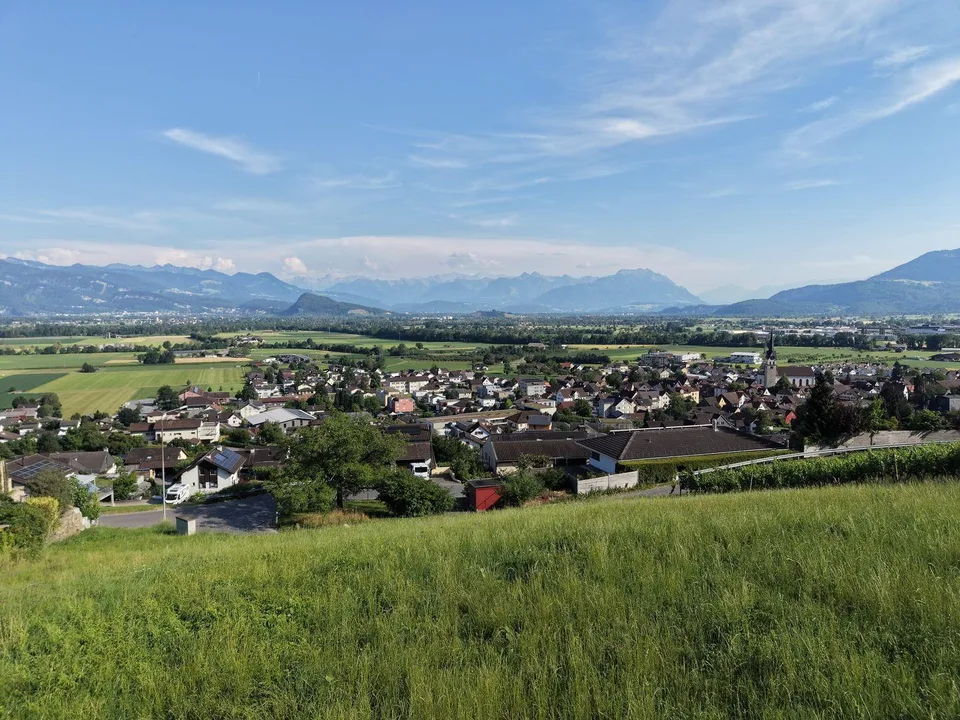 Baulandparzelle am Südhang mit Weitsicht über das Rheintal – foto 5 di 10