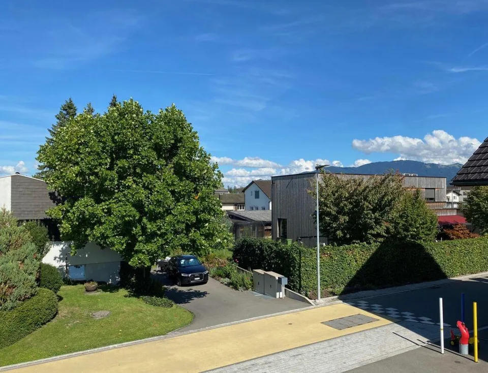 WOHNEN, ARBEITEN, LEBEN - vielseitige Liegenschaft in Diepoldsau – Foto 17 von 24