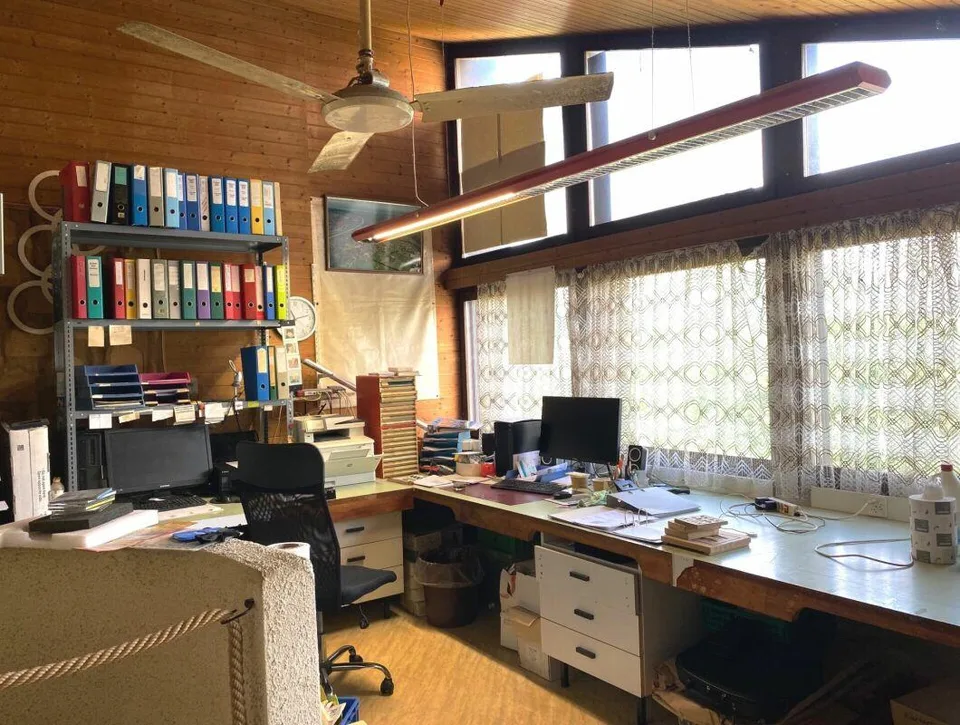 WOHNEN, ARBEITEN, LEBEN - vielseitige Liegenschaft in Diepoldsau – Foto 21 von 24