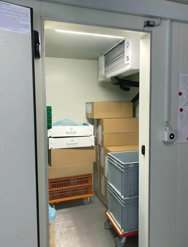 WOHNEN, ARBEITEN, LEBEN - vielseitige Liegenschaft in Diepoldsau – Foto 22 von 24
