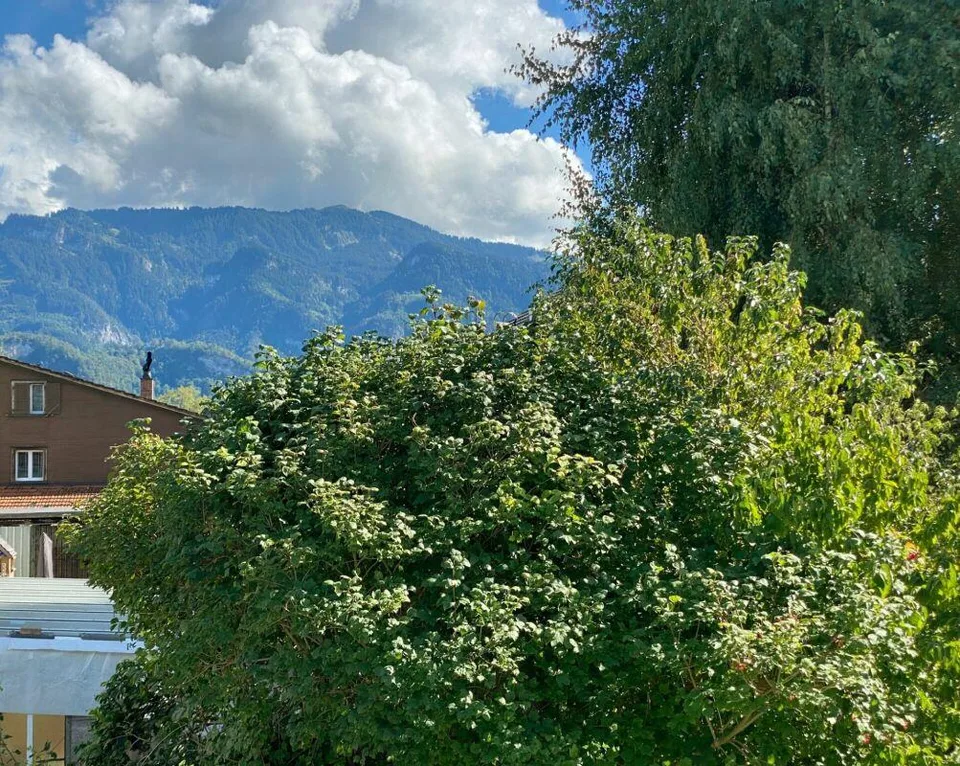 WOHNEN, ARBEITEN, LEBEN - vielseitige Liegenschaft in Diepoldsau – Foto 16 von 24