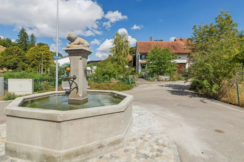 Einfamilienhaus (inkl. Werkstatt, Scheune & Schopf) – Foto 19 von 21