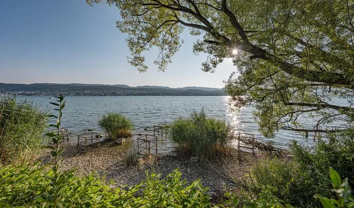BAULANDCHANCE IN FELDMEILEN – Foto 7 von 8