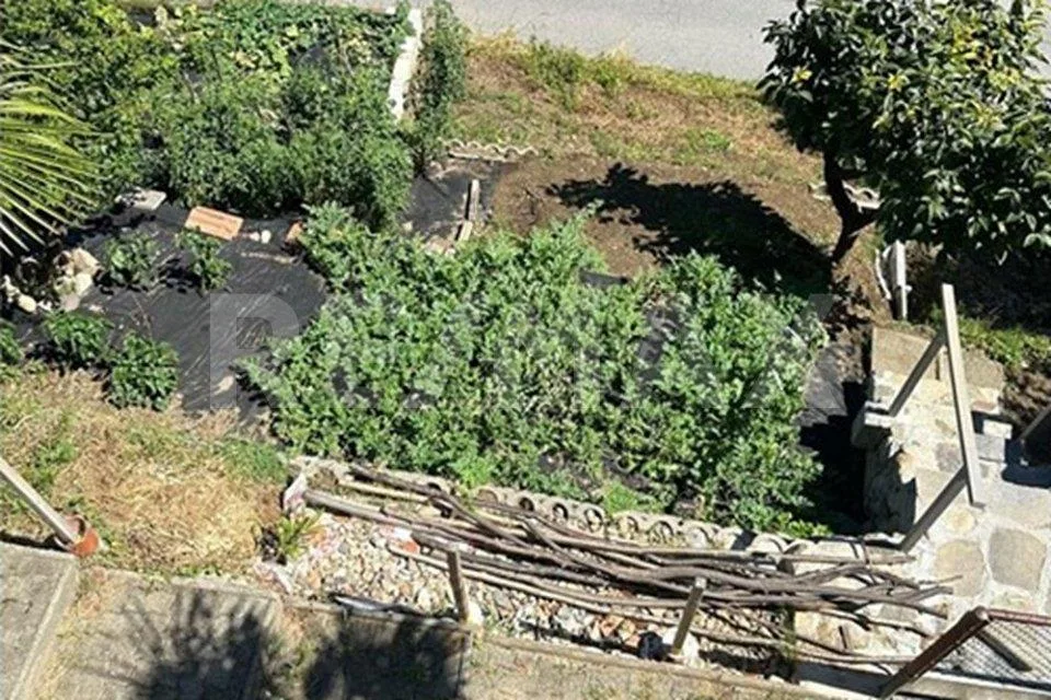 Terreno edificabile a Lopagno – ideale per la vostra casa unifamiliare – Foto 8 von 10